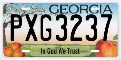 GA license plate PXG3237