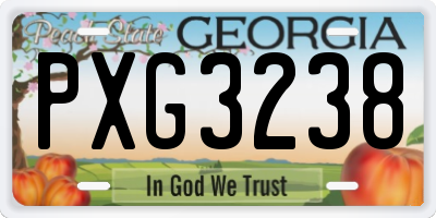 GA license plate PXG3238