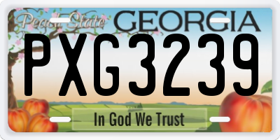 GA license plate PXG3239