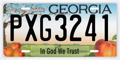 GA license plate PXG3241