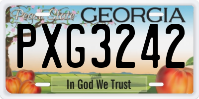 GA license plate PXG3242