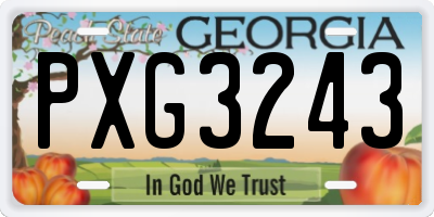 GA license plate PXG3243