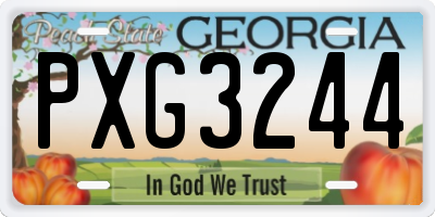 GA license plate PXG3244