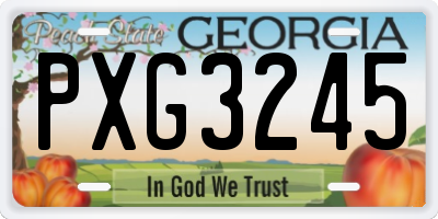 GA license plate PXG3245