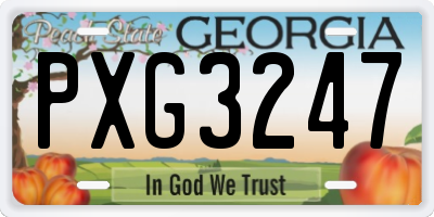 GA license plate PXG3247