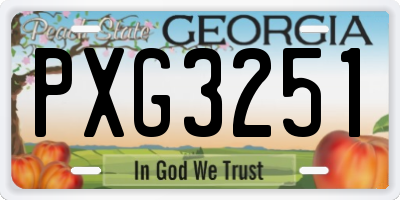 GA license plate PXG3251