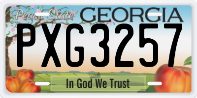 GA license plate PXG3257