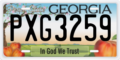 GA license plate PXG3259