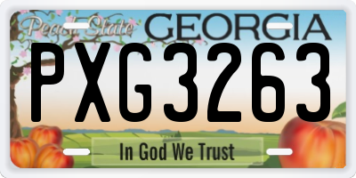 GA license plate PXG3263