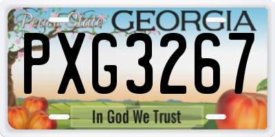 GA license plate PXG3267