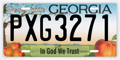 GA license plate PXG3271