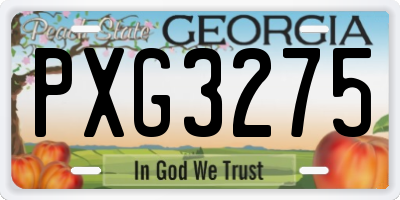 GA license plate PXG3275