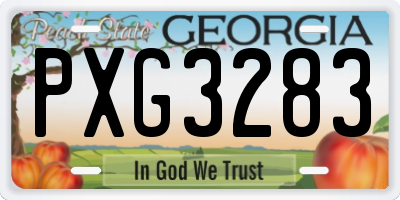 GA license plate PXG3283