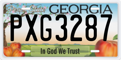 GA license plate PXG3287