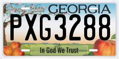 GA license plate PXG3288