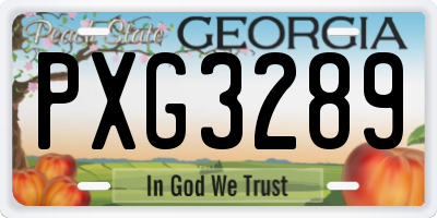 GA license plate PXG3289