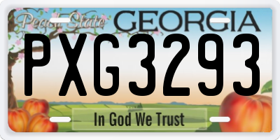 GA license plate PXG3293