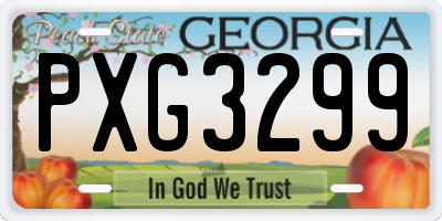 GA license plate PXG3299
