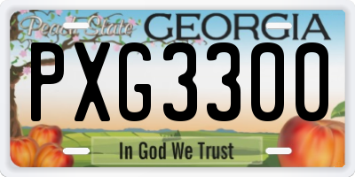 GA license plate PXG3300