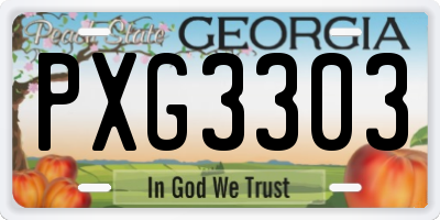 GA license plate PXG3303