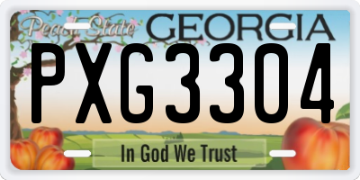 GA license plate PXG3304