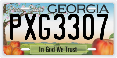 GA license plate PXG3307