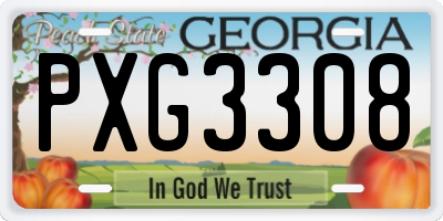 GA license plate PXG3308