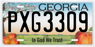 GA license plate PXG3309