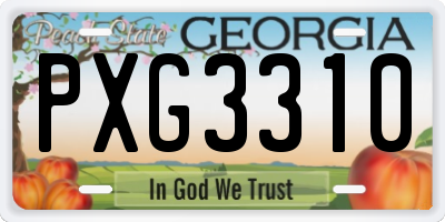 GA license plate PXG3310