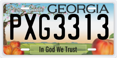 GA license plate PXG3313