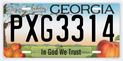 GA license plate PXG3314