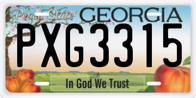 GA license plate PXG3315