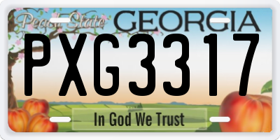 GA license plate PXG3317