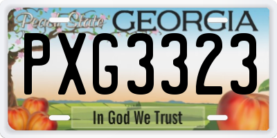 GA license plate PXG3323