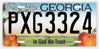 GA license plate PXG3324