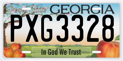 GA license plate PXG3328