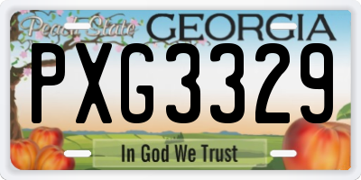 GA license plate PXG3329