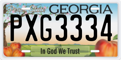 GA license plate PXG3334