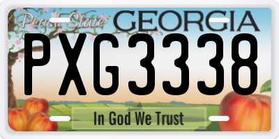 GA license plate PXG3338