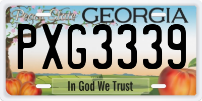 GA license plate PXG3339