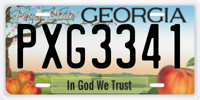 GA license plate PXG3341