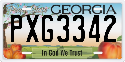 GA license plate PXG3342