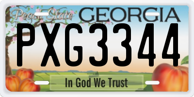 GA license plate PXG3344