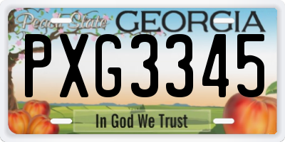 GA license plate PXG3345