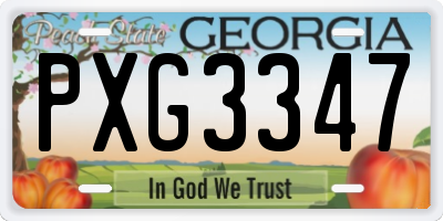 GA license plate PXG3347