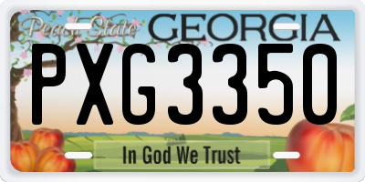 GA license plate PXG3350