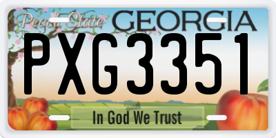 GA license plate PXG3351