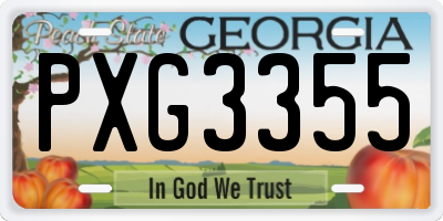 GA license plate PXG3355