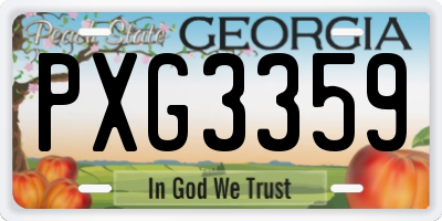 GA license plate PXG3359