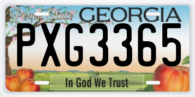 GA license plate PXG3365